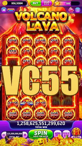 VC55 APK
